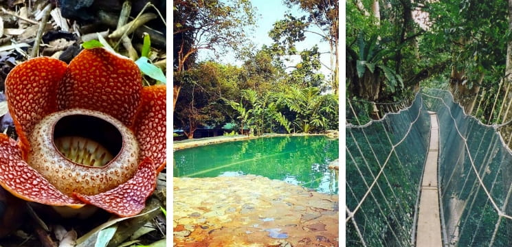 poring hot spring sandakan sabah