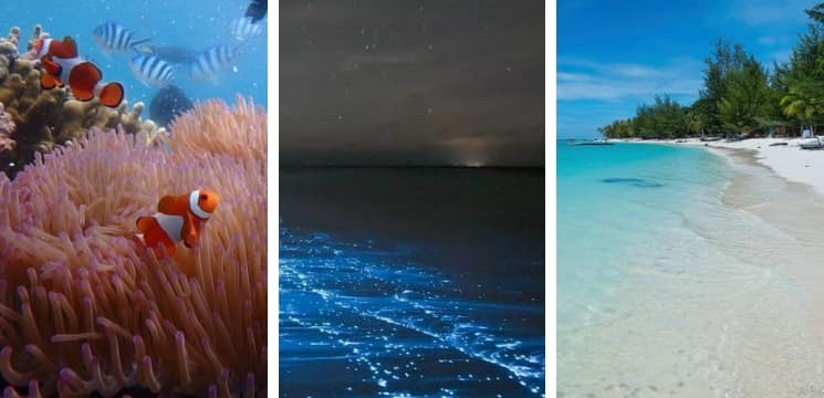 pulau mantanani kota belud sabah