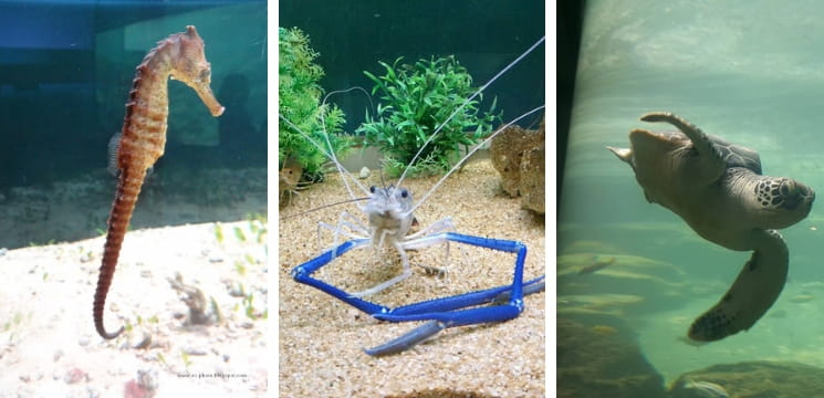 tempat menarik di sabah kota kinabalu