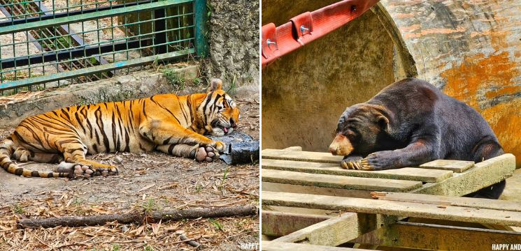 tempat menarik di kota kinabalu