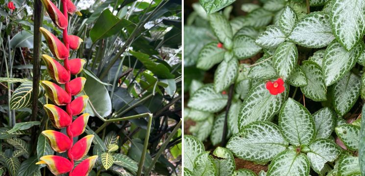 tempat menarik di kota kinabalu