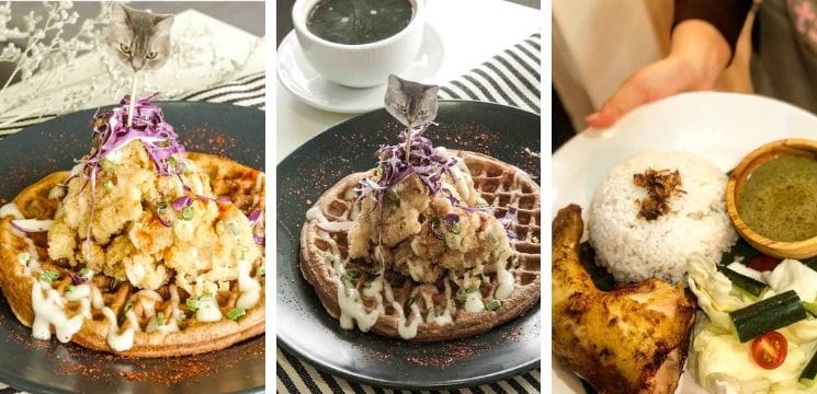 cats cafe johor bahru