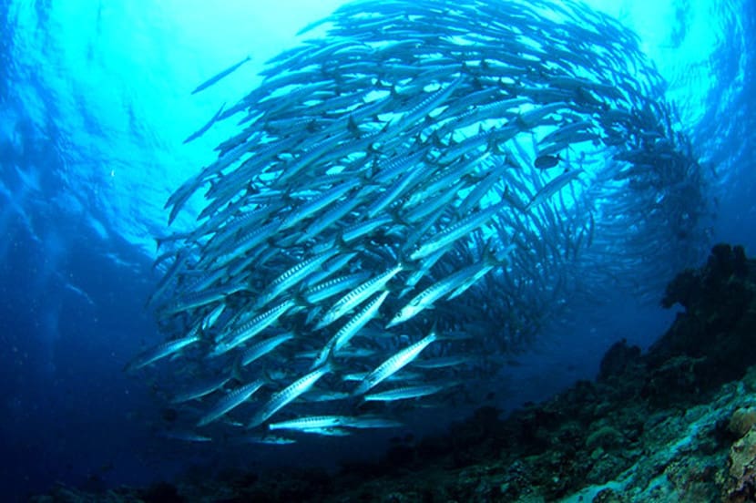 senarai pulau yang best di malaysia