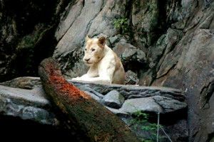 tempat menarik di petaling jaya