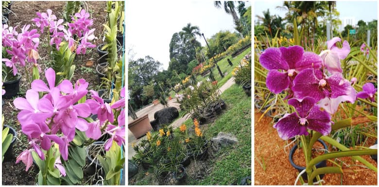 taman orkid kuala lumpur