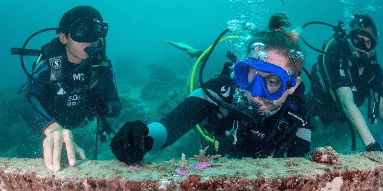 Mengambil Kursus PADI di Pulau Mabul