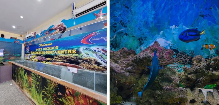 Pusat Ikan Hiasan Teluk Kemang