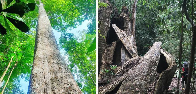 Pusat Edu-Ecotourism Sungai Menyala
