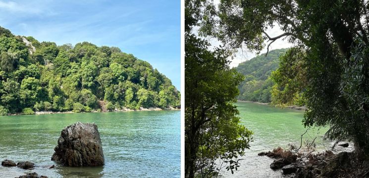 Hutan Rekreasi Tanjung Tuan