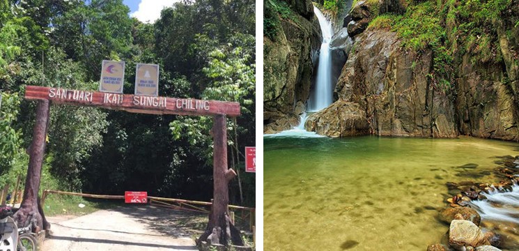 CariDestinasi Sungai Chiling
