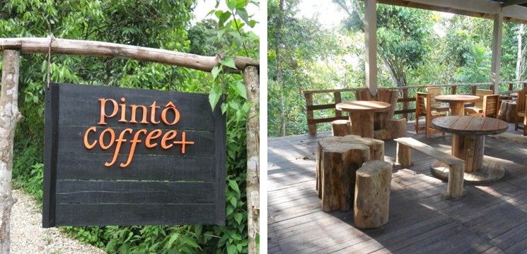 CariDestinasi Pinto Coffee