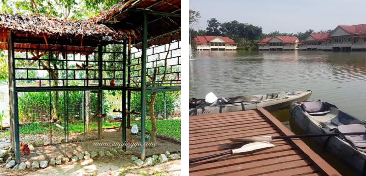 Ladang Moccis Teluk Intan, Jalan Changkat Jong