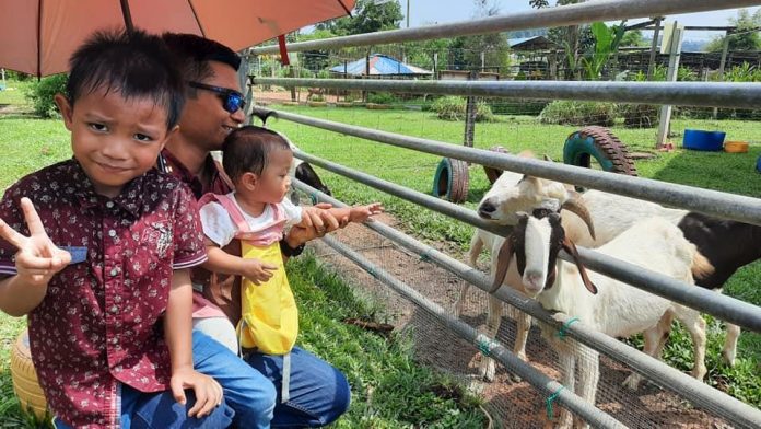Cattle Queen Park Kluang