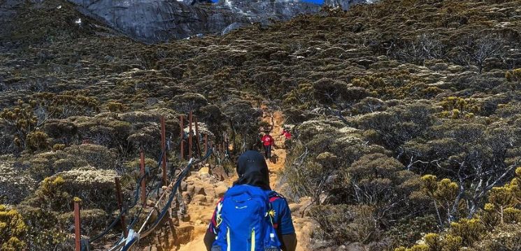 pintu masuk utama ke trek Gunung Kinabalu