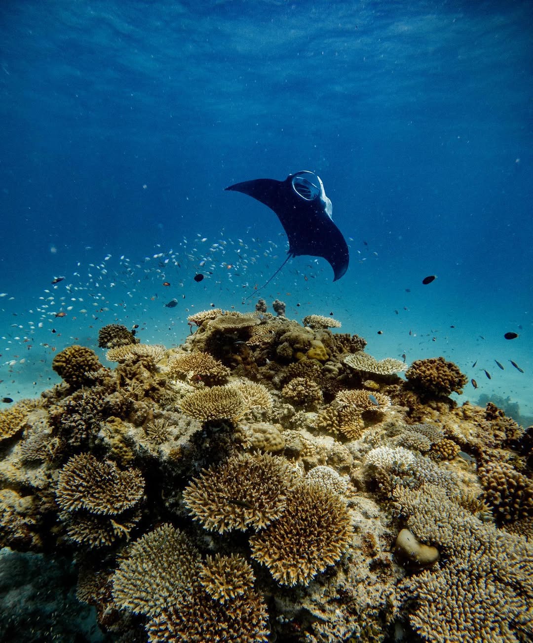 Destinasi Bulan Madu Mesra Muslim