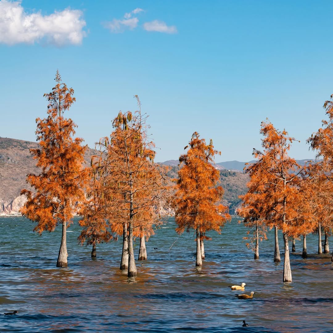 destinasi muslim di china