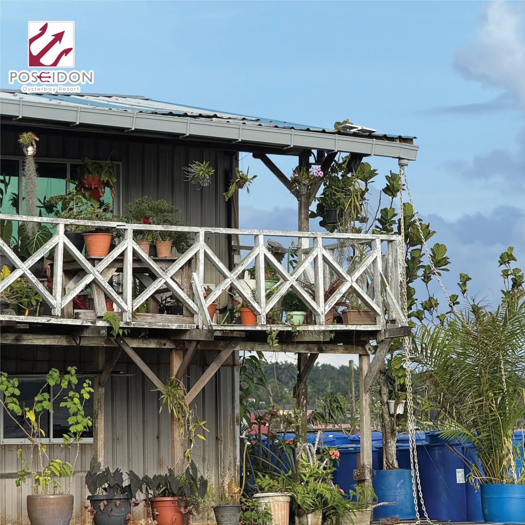 poseidon oysterbay resort