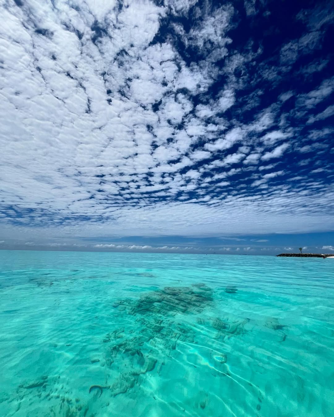 budget honeymoon ke maldives