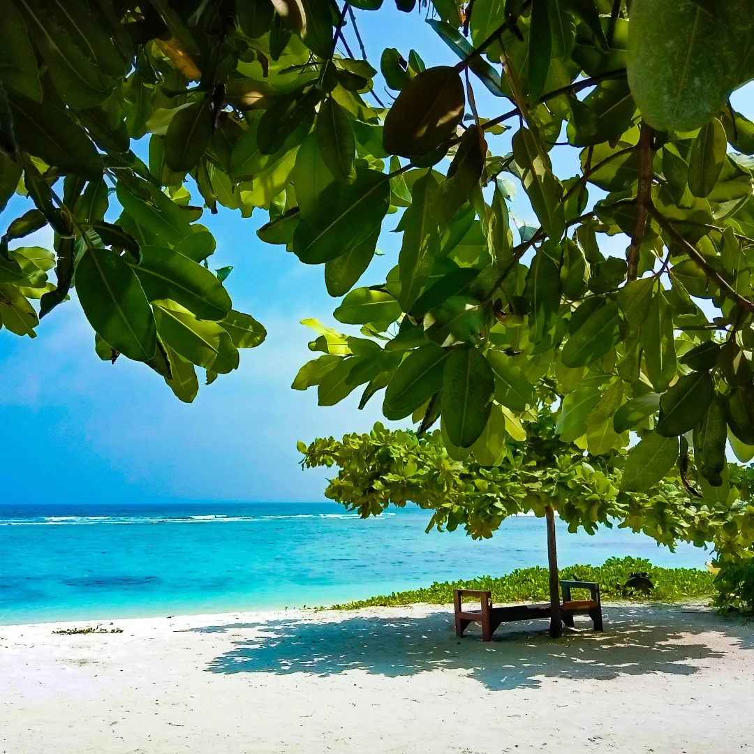 bajet honeymoon ke maldives