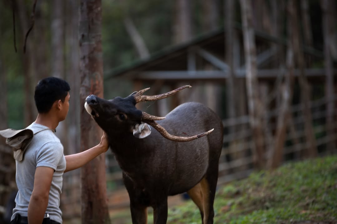 Panbil Nature Reserve