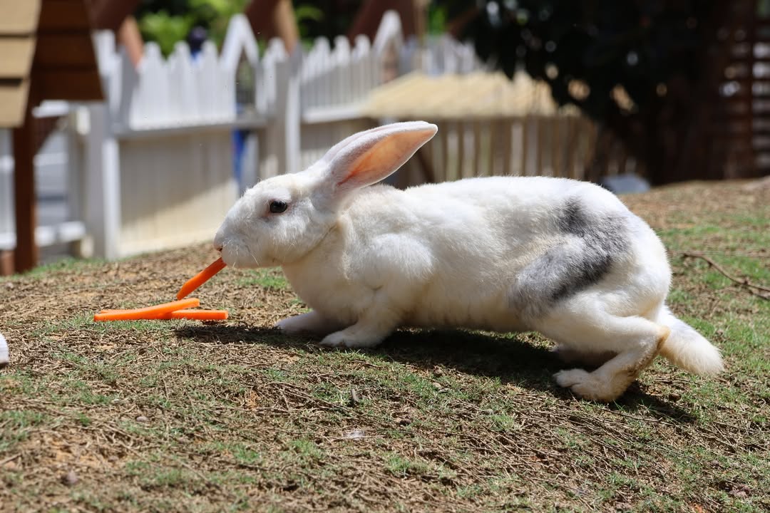 Panbil Nature Reserve