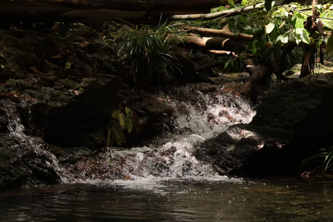 tempat menarik di batam