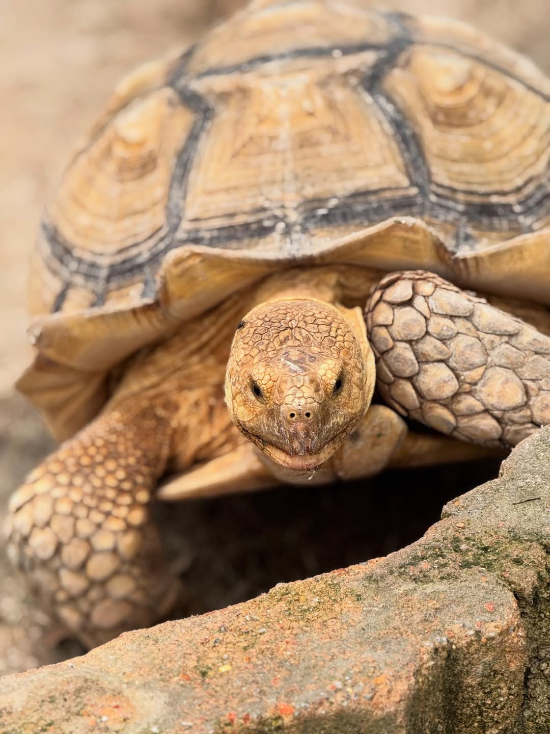 tempat menarik di batam