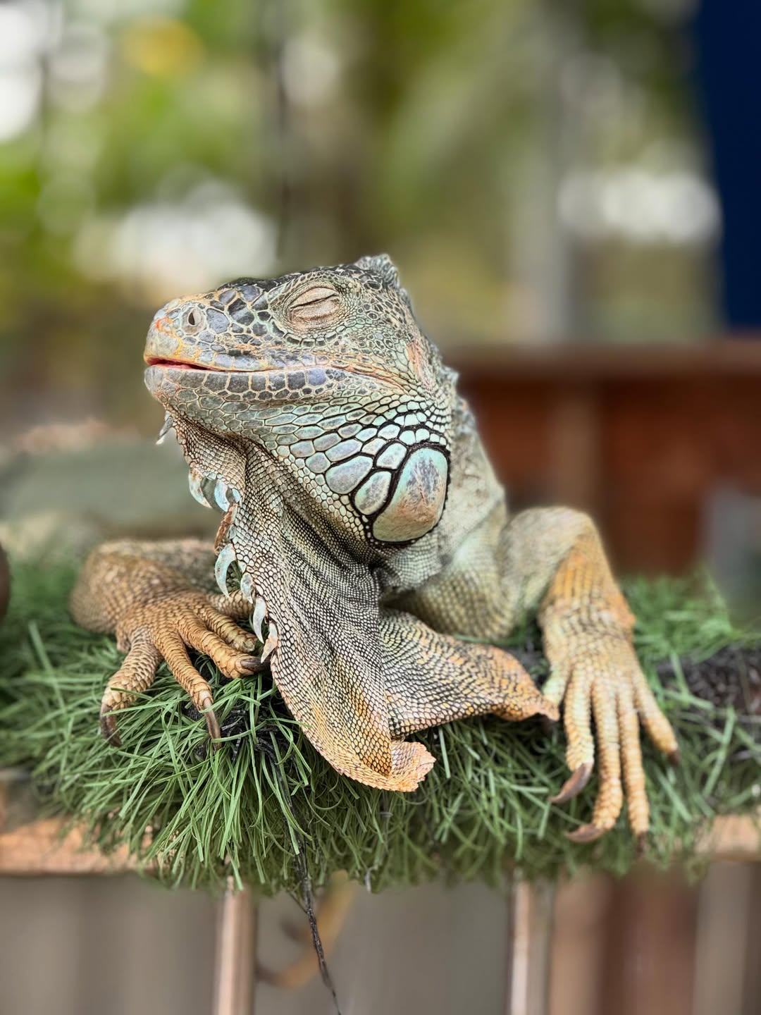 tempat menarik di batam