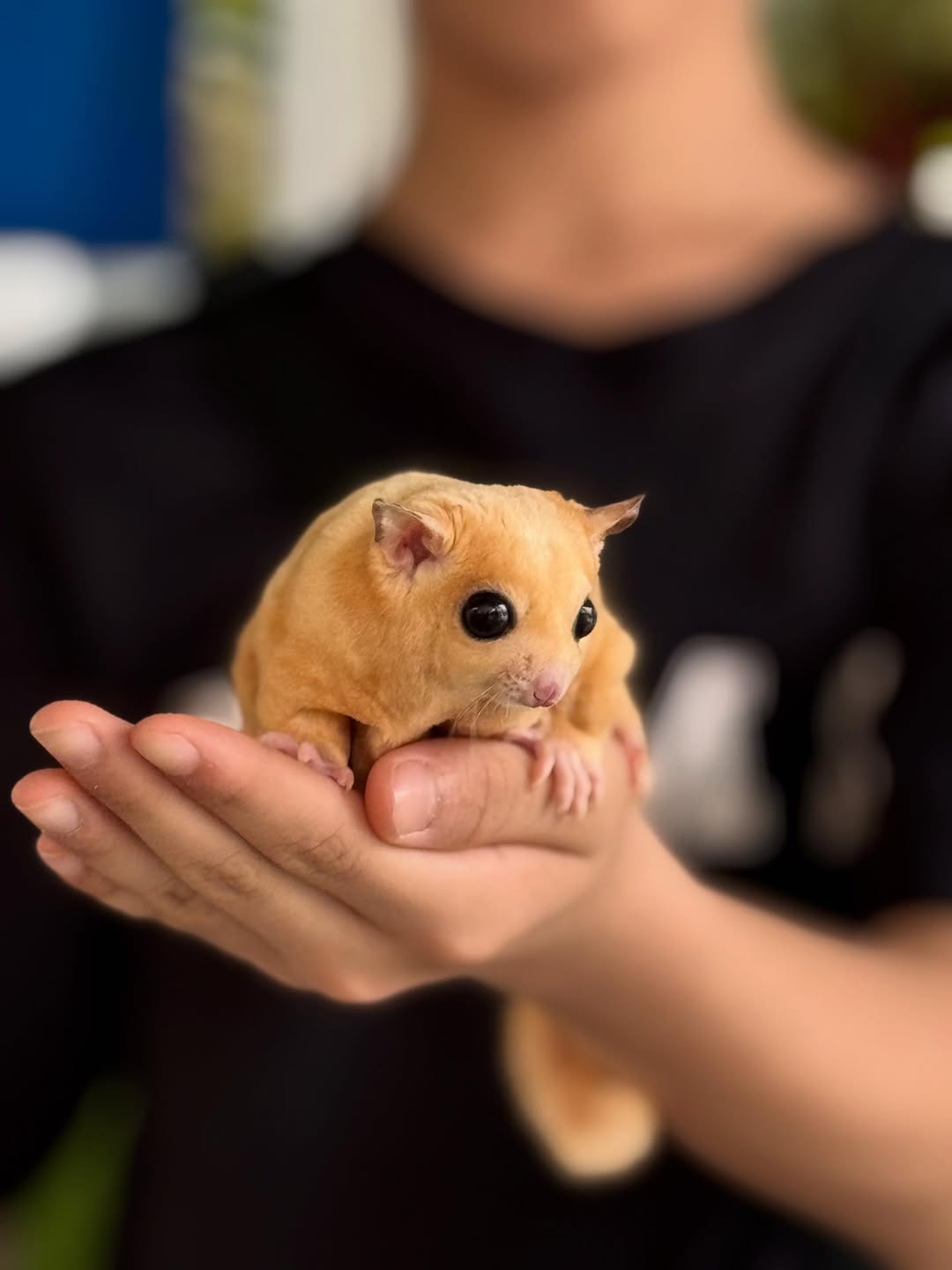 tempat menarik di batam